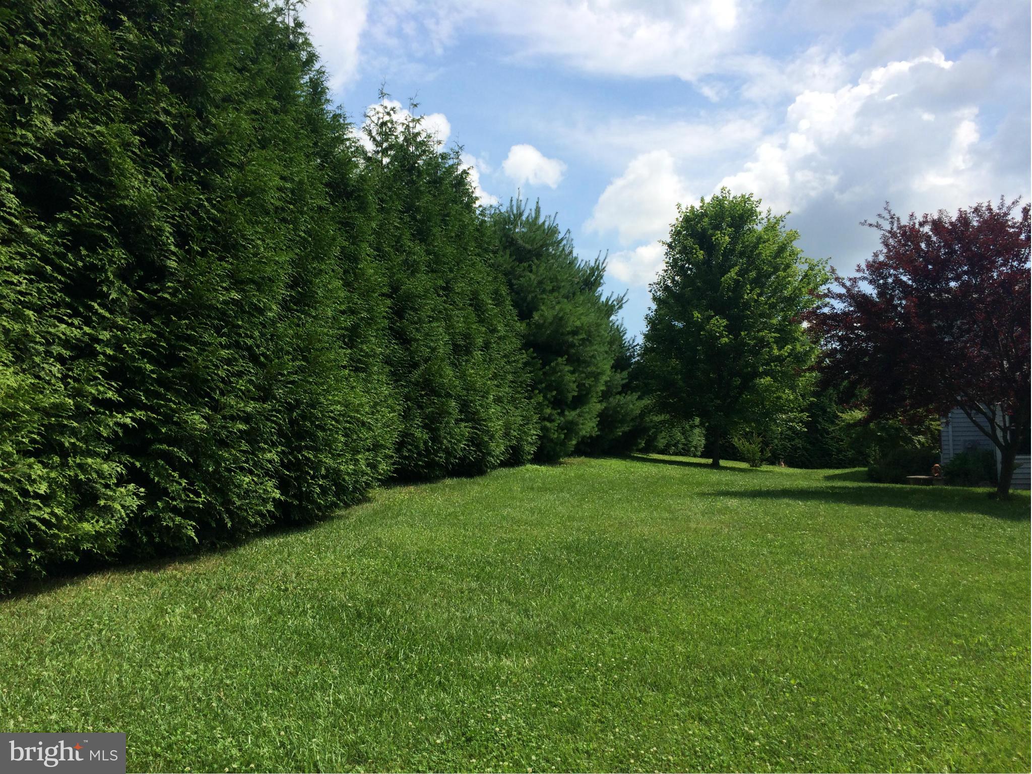 2114 Ebbvale Road Manchester, MD 21102 - Photo 8 of 30 Matures trees border the property!