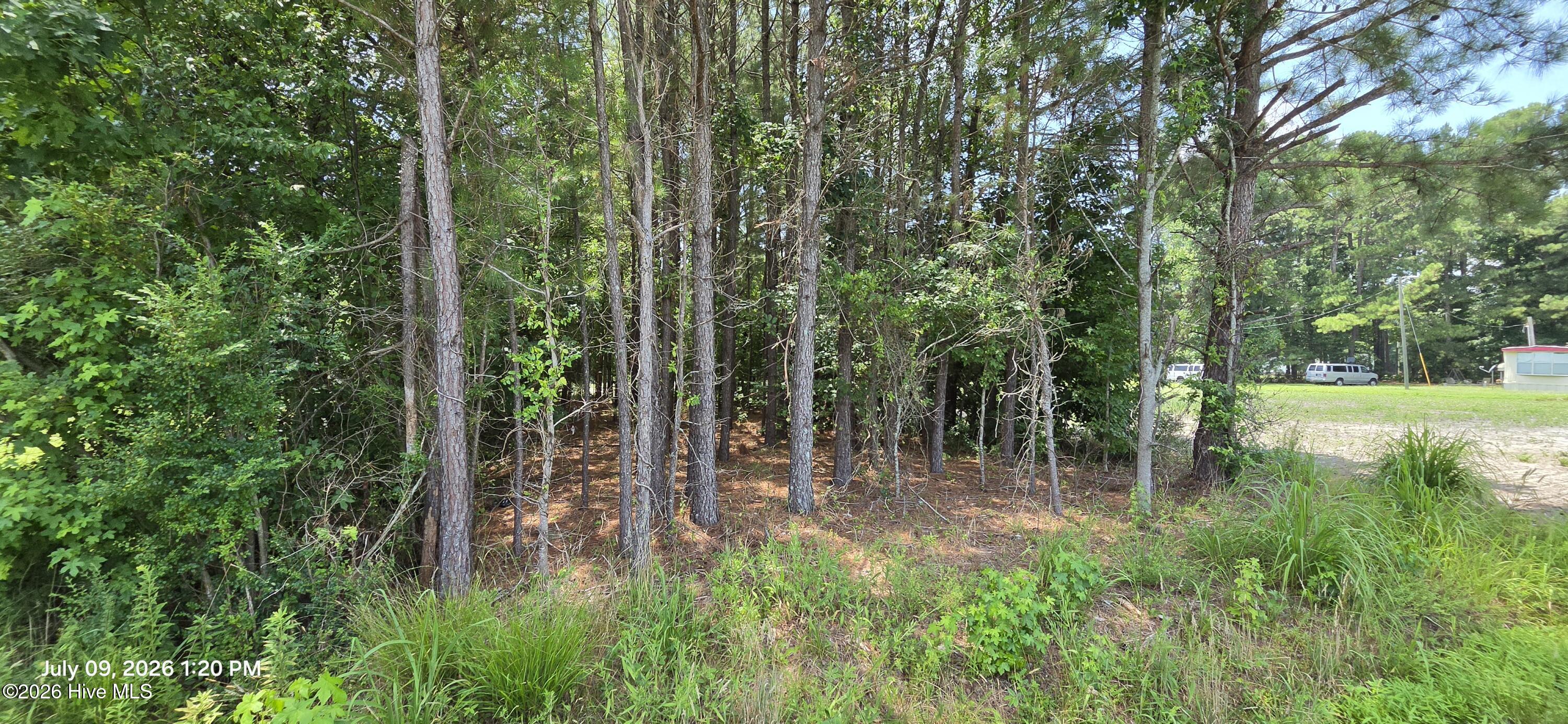 0 Drum Hill Road Gates, NC 27937 - Photo 4 of 4