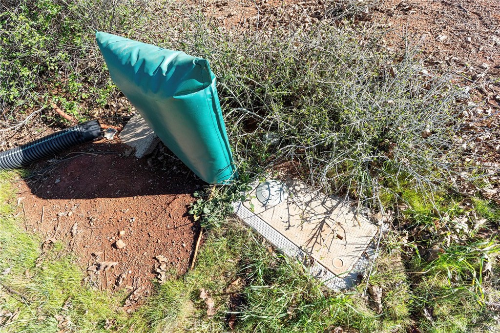1601 Timber Lane Paradise, CA 95969 - Photo 11 of 15 a view of a bird bath