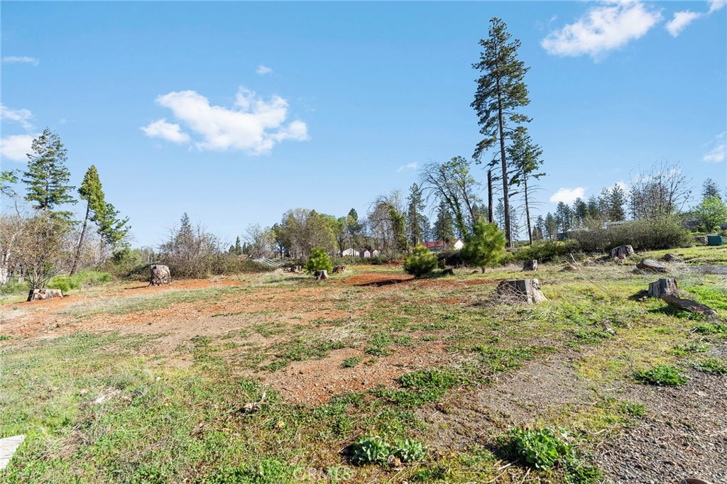 1601 Timber Lane Paradise, CA 95969 - Photo 12 of 15 a view of a yard with a tree