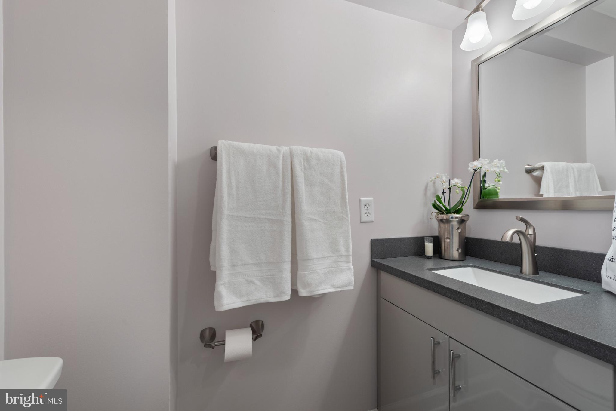 100 Harborview Drive, Unit 1209 Baltimore, MD 21230 - Photo 14 of 43 a bathroom with a granite countertop sink and a mirror