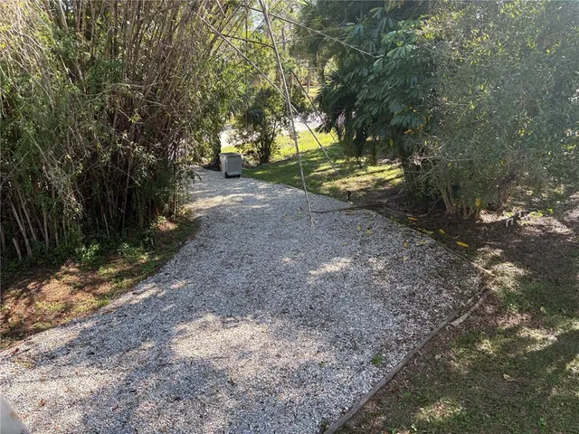 a view of a forest with trees in the background