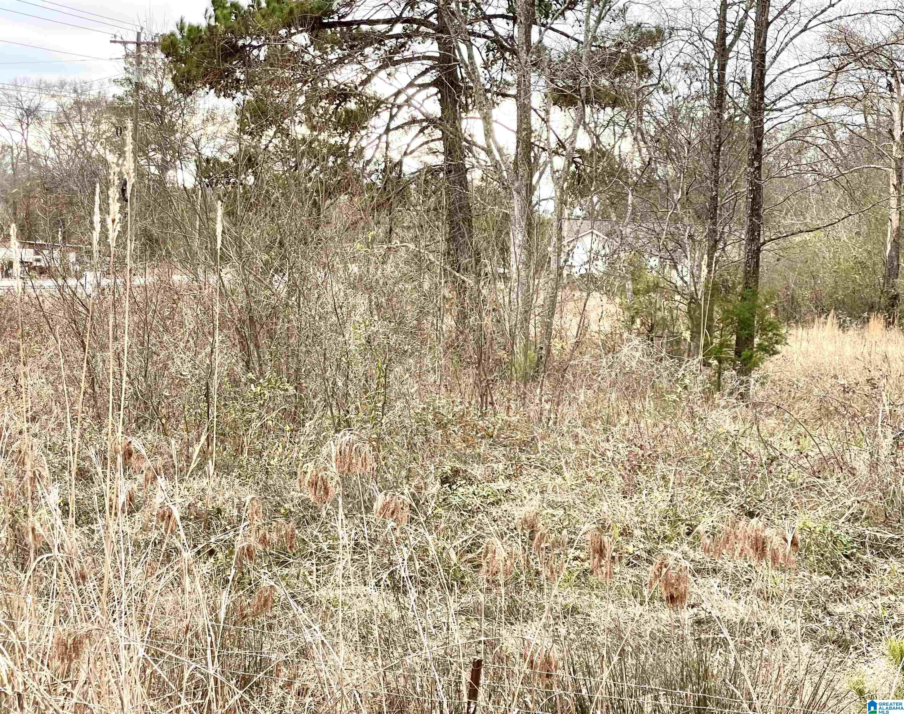 0 Parker Road Cropwell, AL 35054 - Photo 5 of 6
