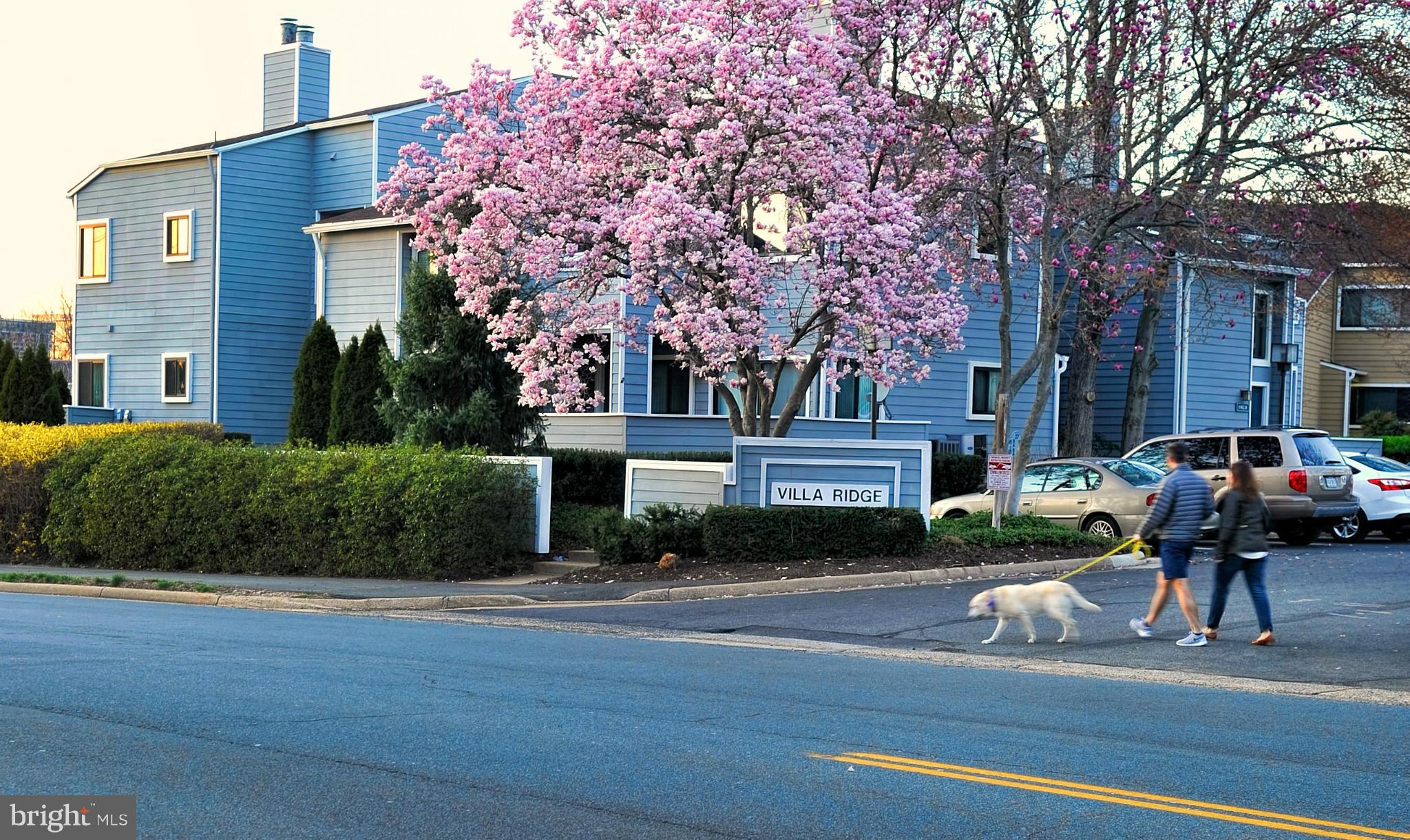 11029 Villaridge Court, Unit 11029B Reston, VA 20191 - Photo 20 of 22 Exterior (Front)