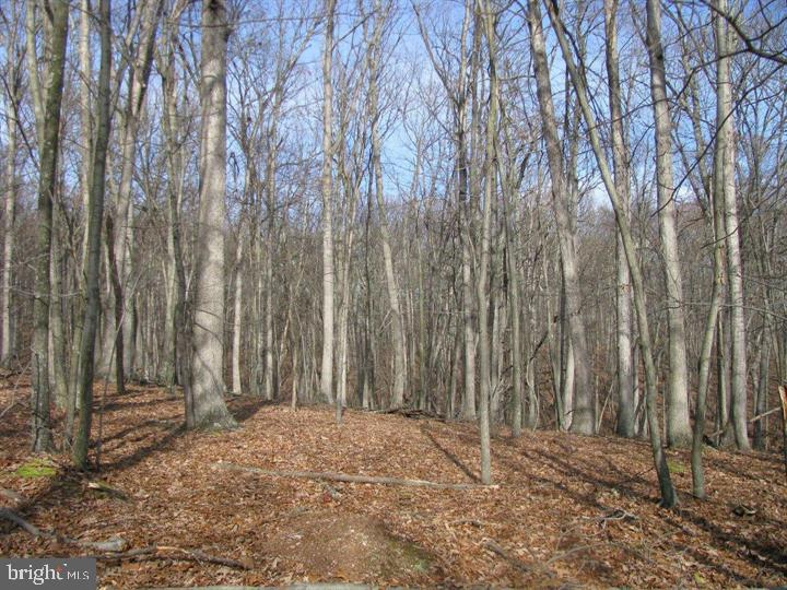 1419 Paul's Woods Road Delray, WV 26714 - Photo 57 of 105