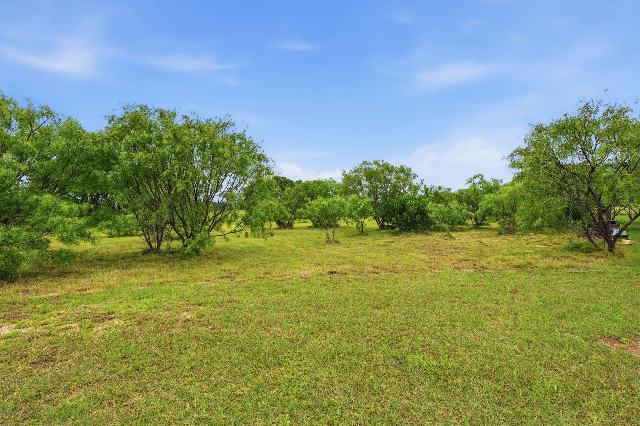 104 Round Up Circle Burnet, TX 78611 - Photo 13 of 23 Expansive open land featuring a grass ground cover, mature trees, and natural foliage