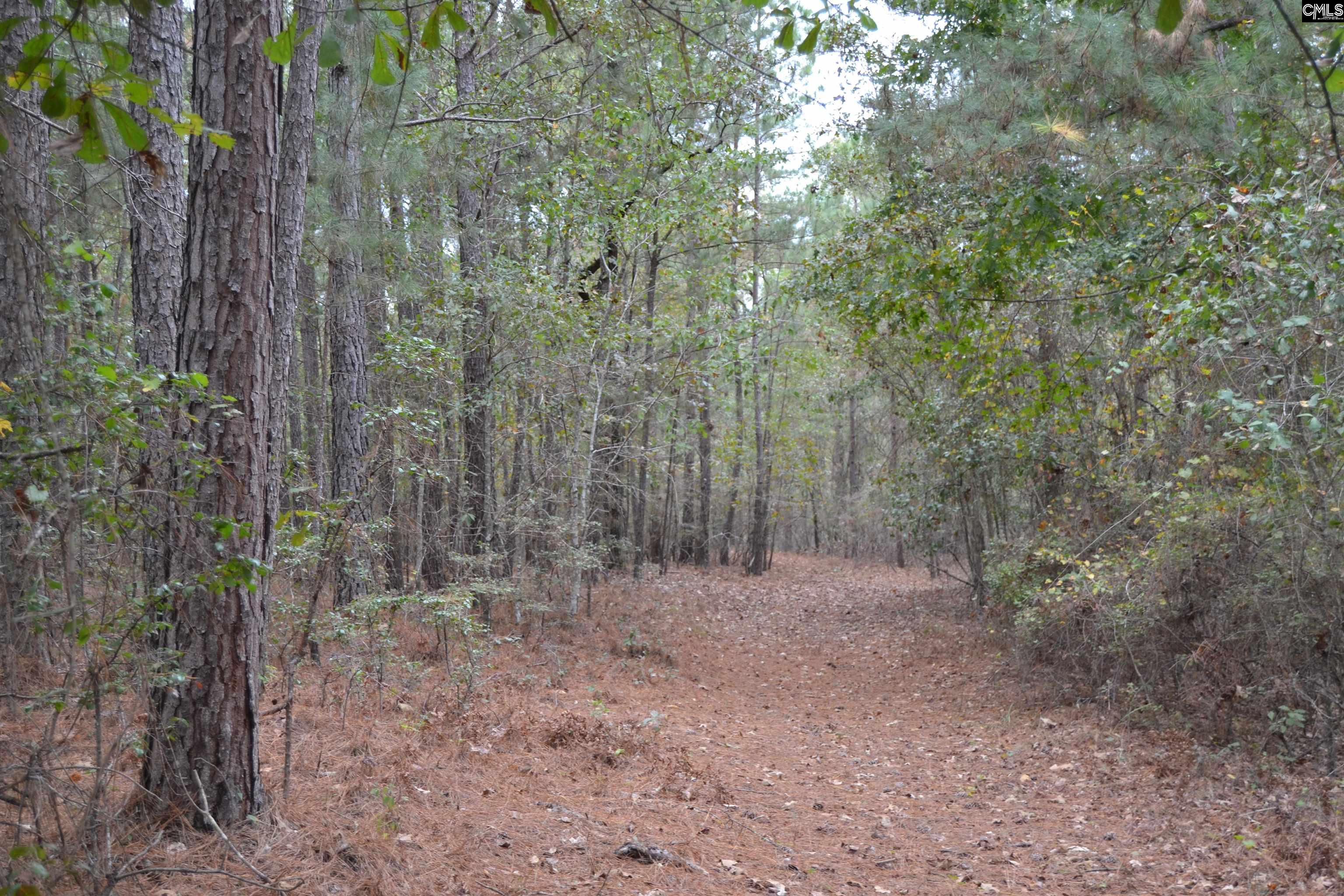 477 Thor Road Pelion, SC 29123 - Photo 6 of 21