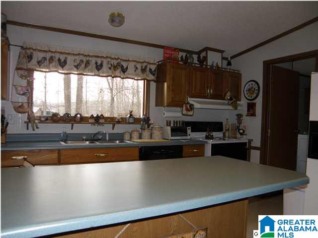 1499 Ray Wyatt Road Ashville, AL 35953 - Photo 13 of 29