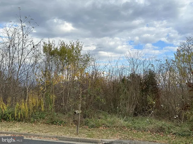 $65,000 | Independence Drive, Luray, VA 22835