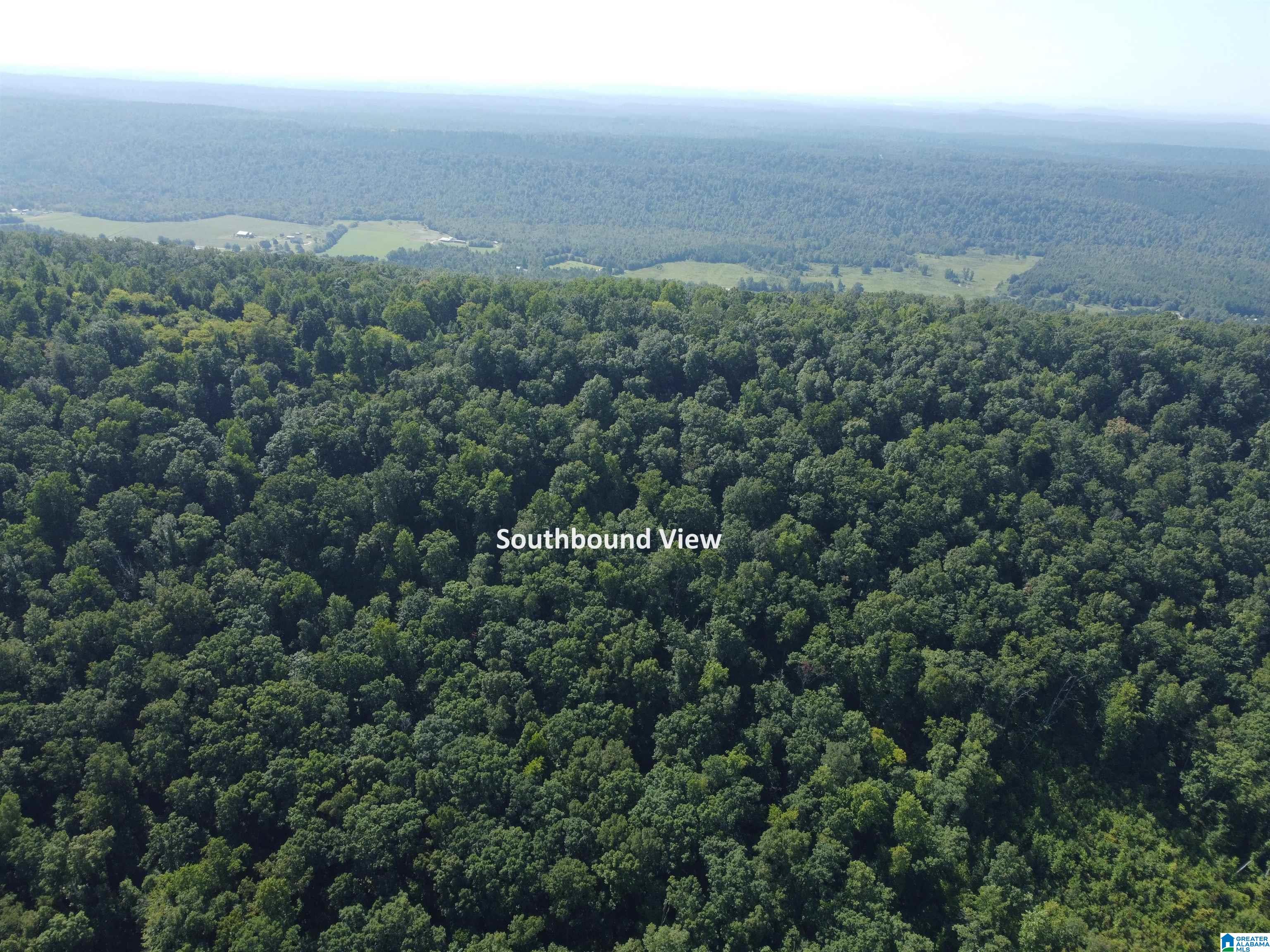 0 Beaver Mountain Road Ashville, AL 35953 - Photo 1 of 40