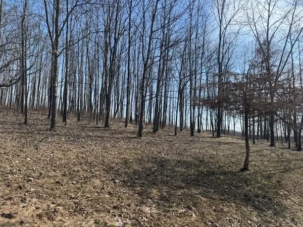 $175,200 | 0 Co Hwy DD, Richland Center, WI 53581