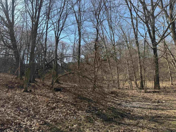 $175,200 | 0 Co Hwy DD, Richland Center, WI 53581