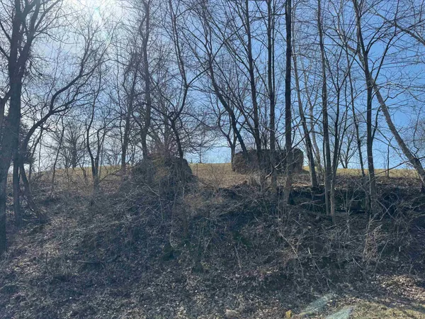 $175,200 | 0 Co Hwy DD, Richland Center, WI 53581