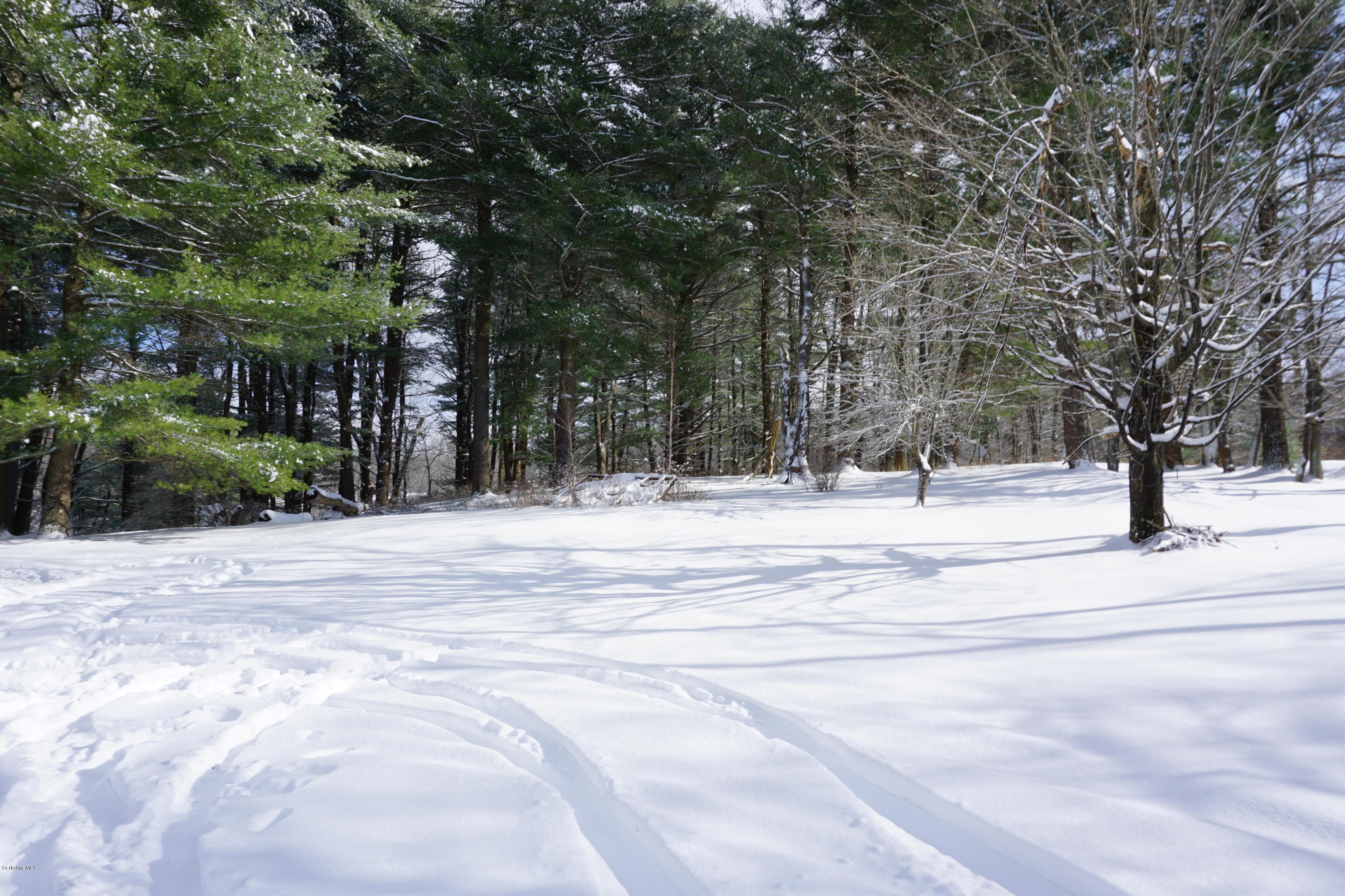 291 Summit Hill Road Washington, MA 01223 - Photo 3 of 27 DSC00195