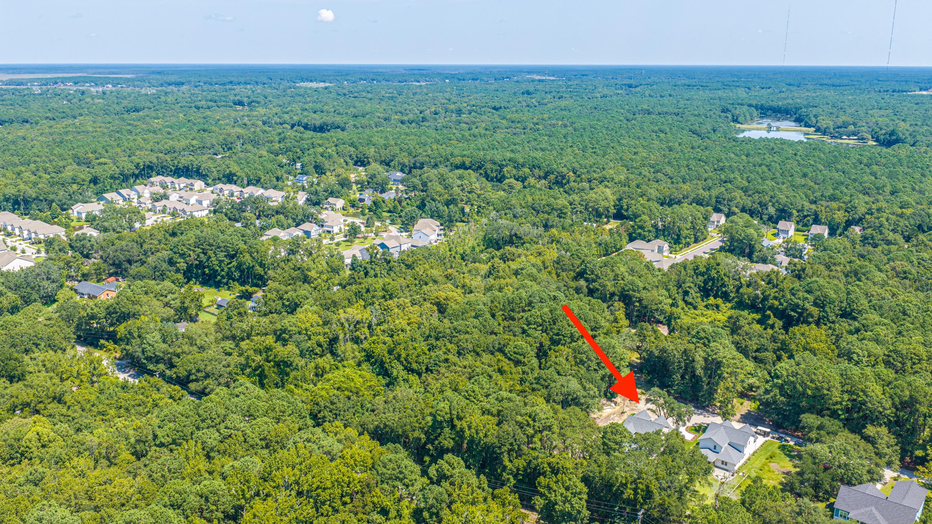 977 Bellas Lane Awendaw, SC 29429 - Photo 81 of 87 977BellasLn095