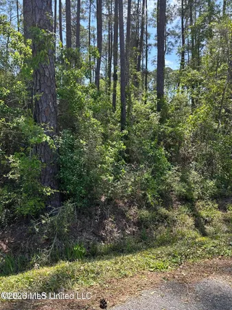 $39,900 | Parkview Ln Pass, Pass Christian, MS 39571