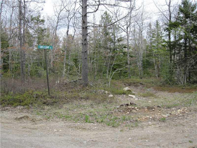 0 Off Gib's Camp Road Jonesboro, ME 04648 - Photo 1 of 4 Land.