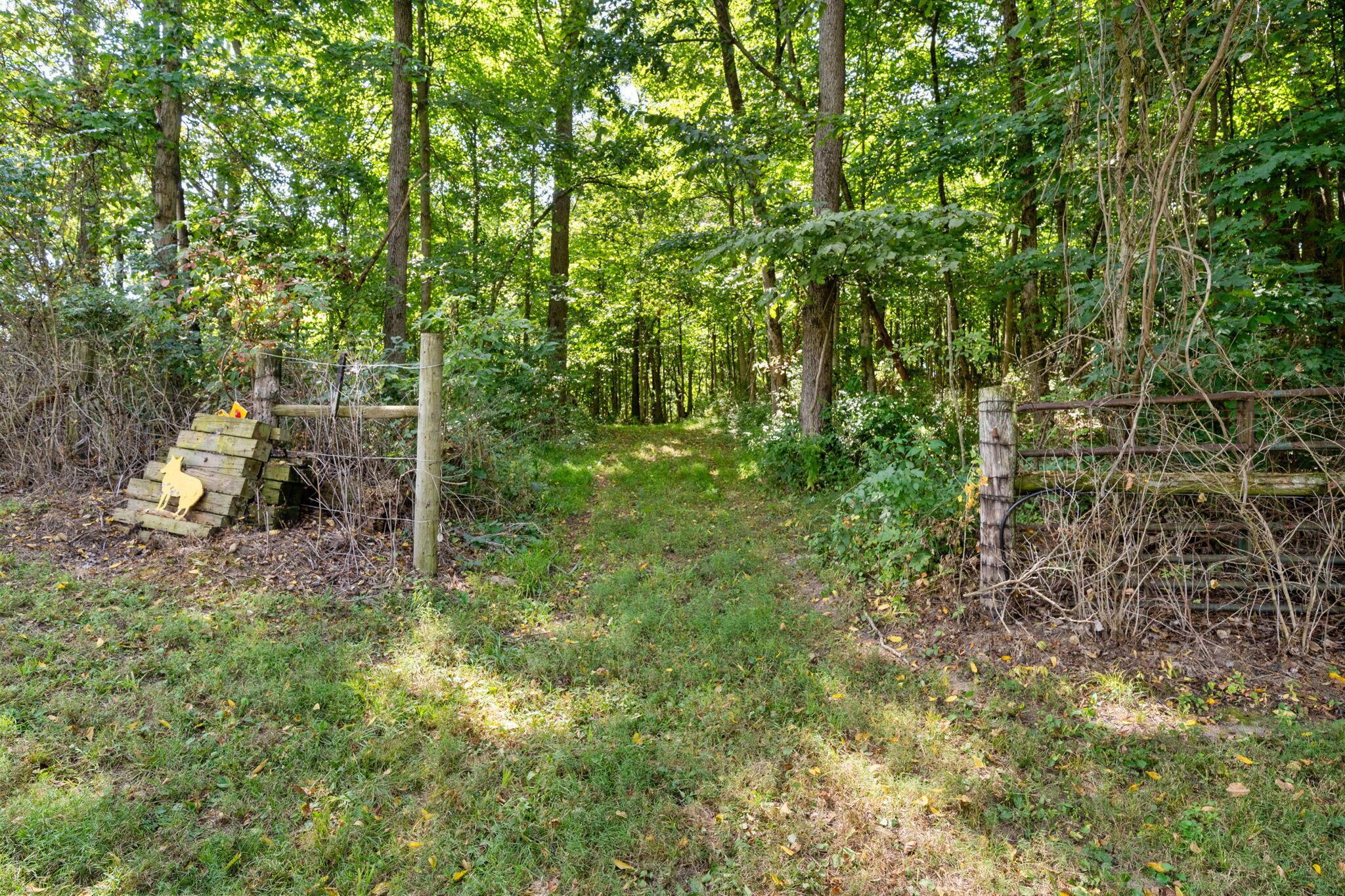 4356 Hawk Road Mechanicsburg, OH 43044 - Photo 86 of 115 Imagine!