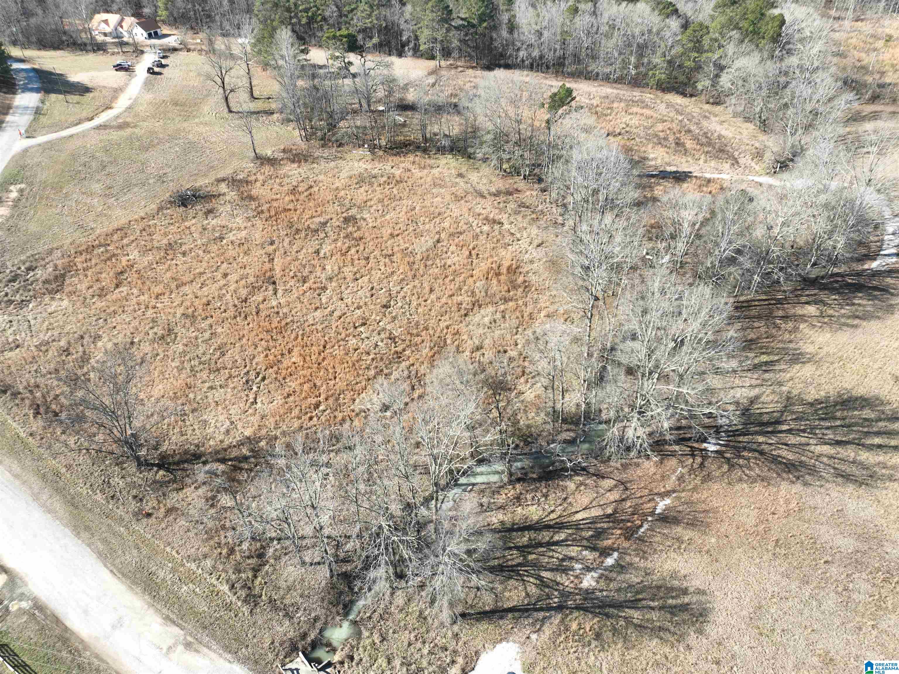 0 Poplar Springs Road Ashville, AL 35953 - Photo 6 of 10