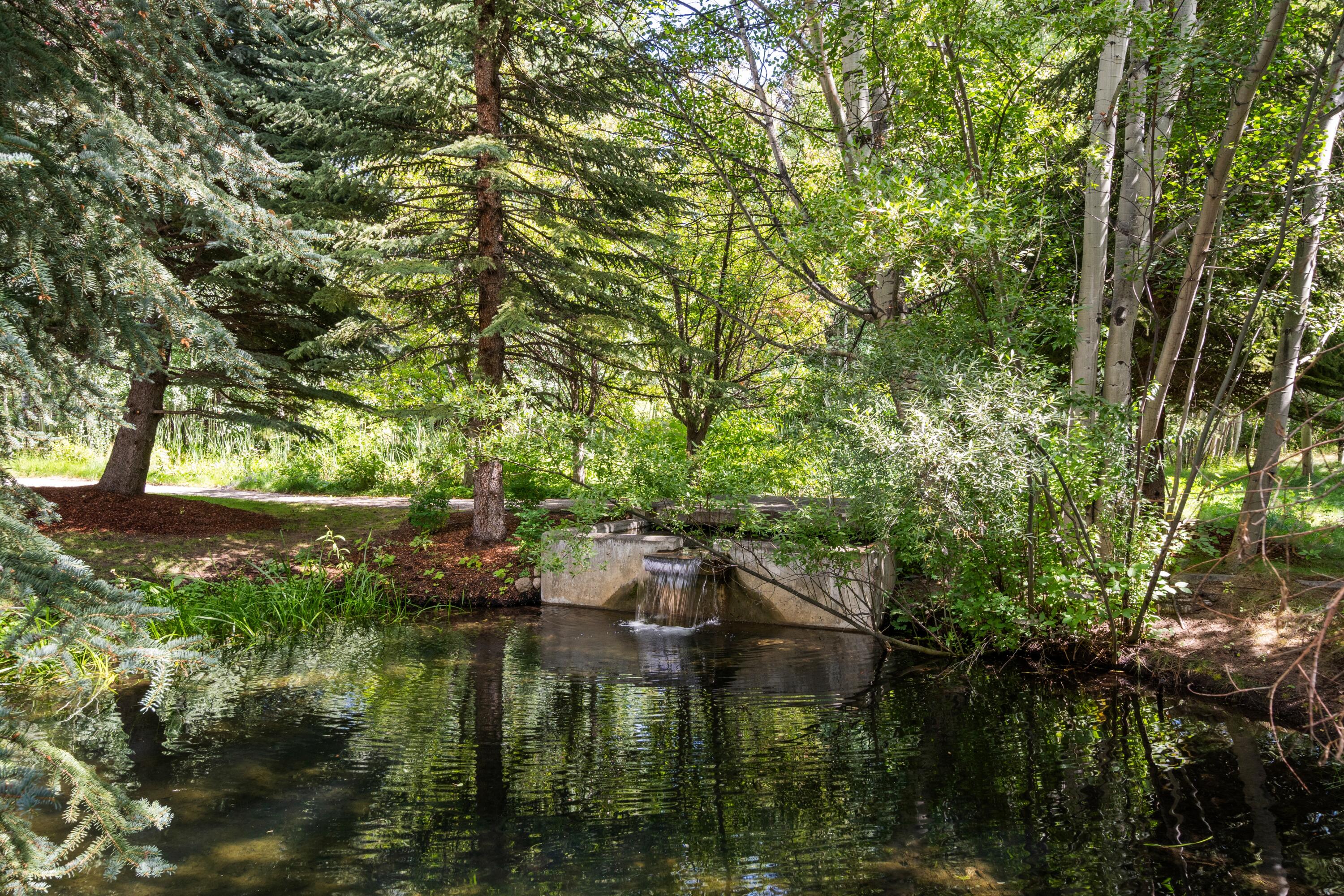 120 Galena Court Ketchum, ID 83340 - Photo 52 of 53 Pond