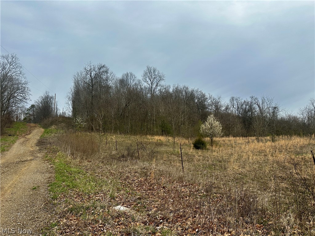 35840 Swan Road Long Bottom, OH 45743 - Photo 16 of 23