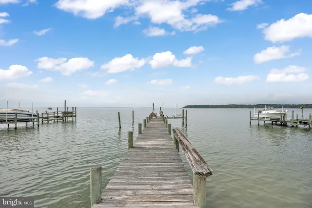 a view of a lake with boats and bridge