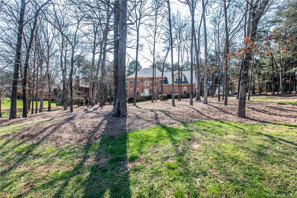 19444 Stough Farm Road Cornelius, NC 28031 - Photo 3 of 24