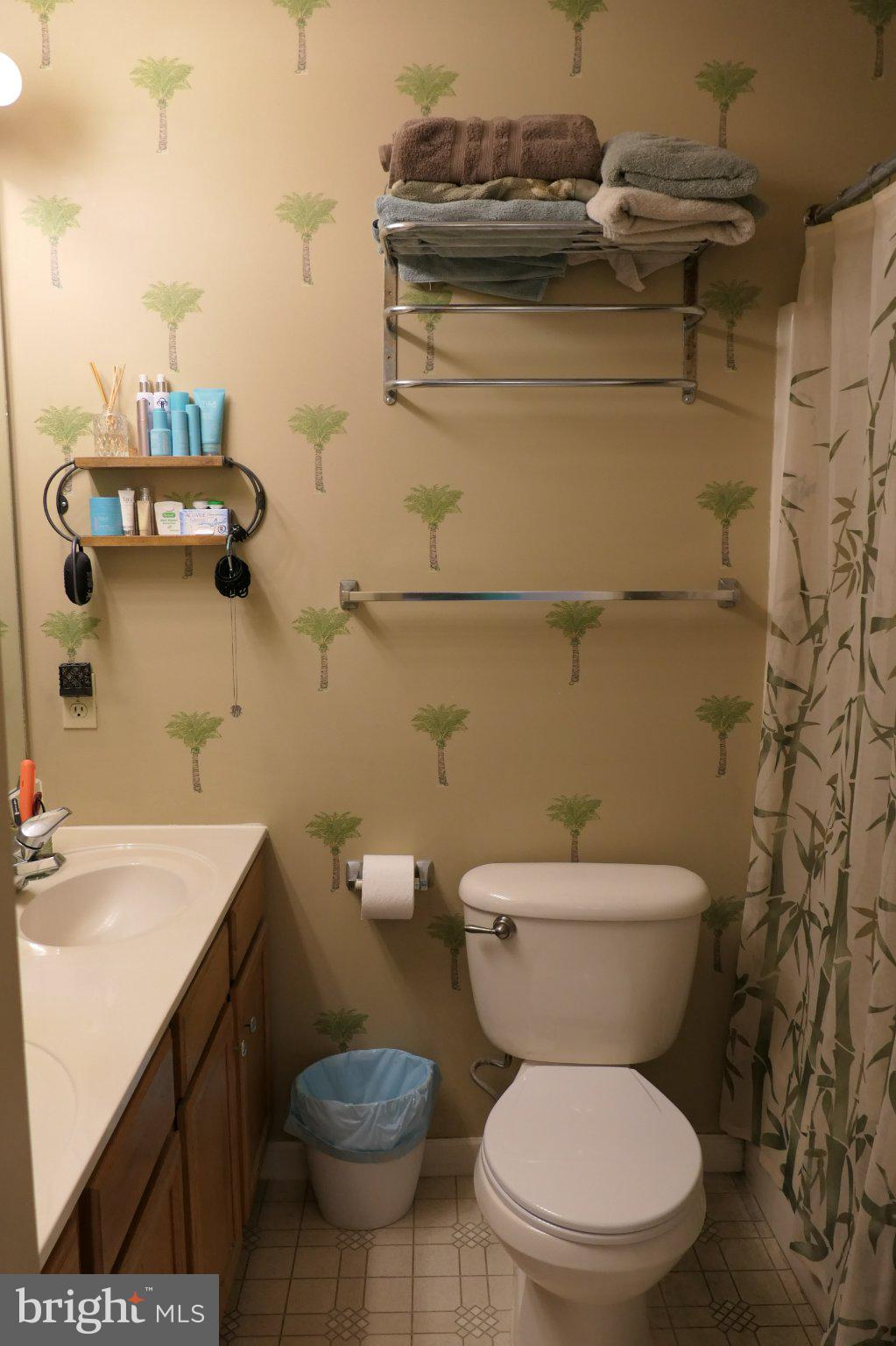 178 Riders Way Lebanon, PA 17042 - Photo 14 of 24 Charming bathroom with nature accents.