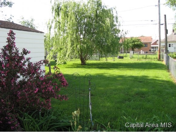 1724 Watch Springfield, IL 62702 - Photo 20 of 24