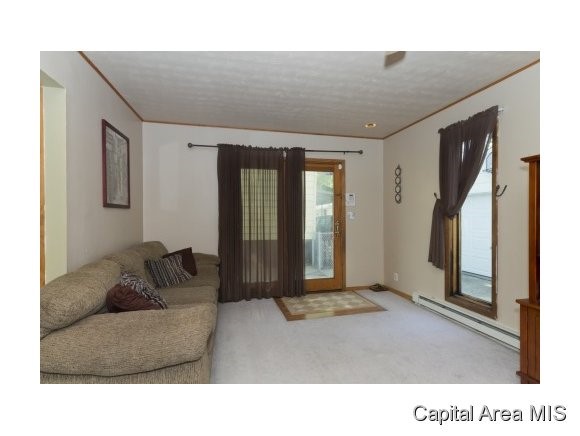 1724 Watch Springfield, IL 62702 - Photo 6 of 24