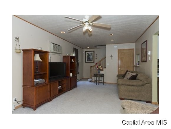 1724 Watch Springfield, IL 62702 - Photo 8 of 24
