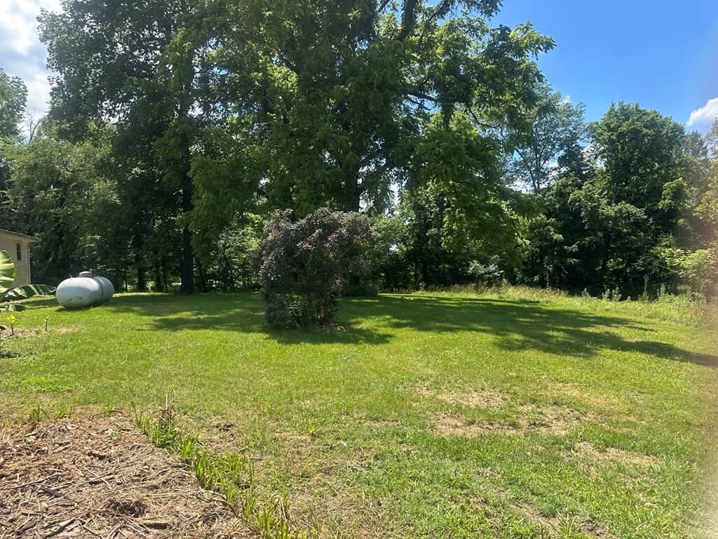 7253 Morgantown Road Russellville, KY 42276 - Photo 22 of 23 IMG_1400