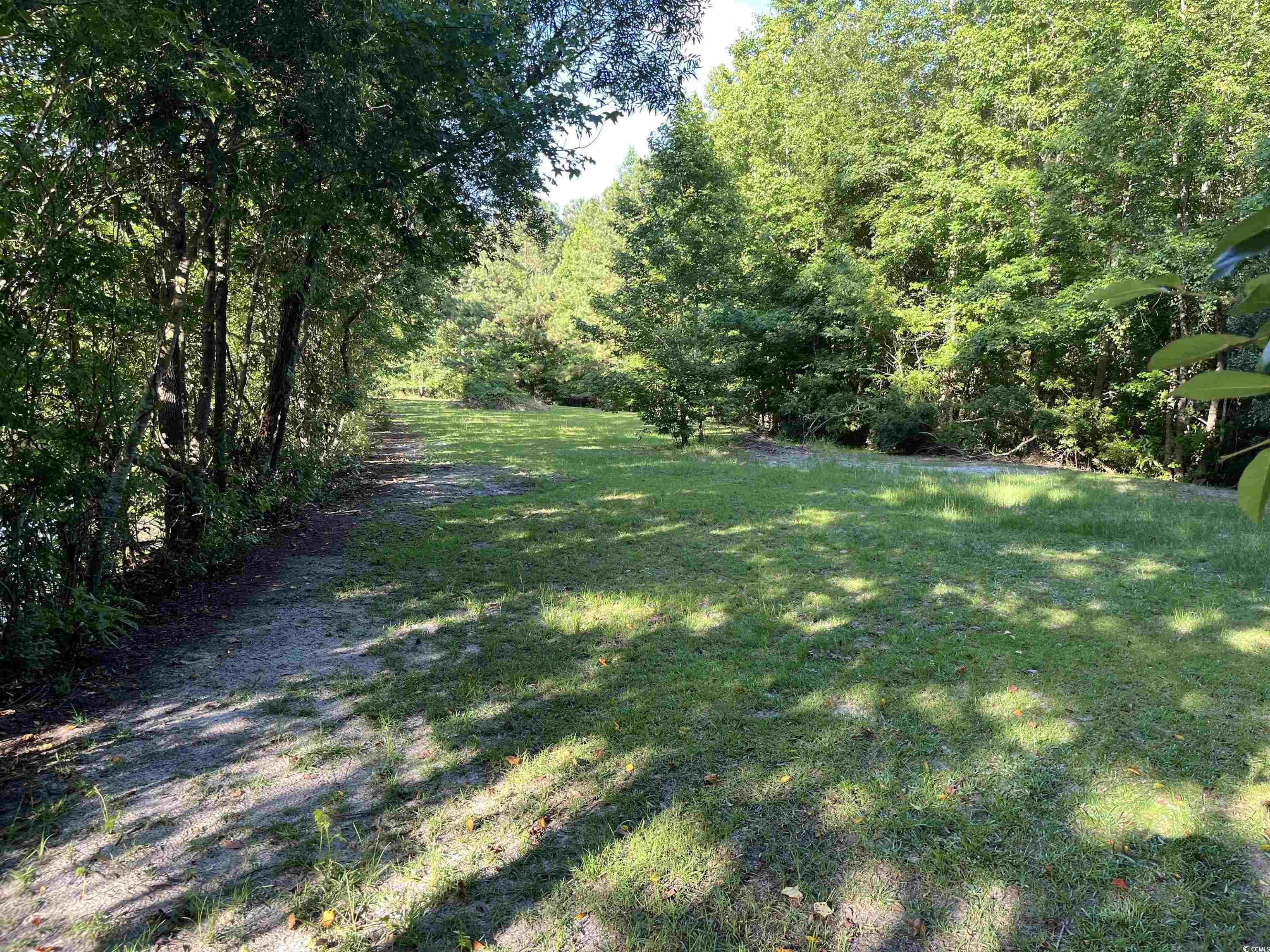 1212 Volunteer Drive Loris, SC 29569 - Photo 11 of 13