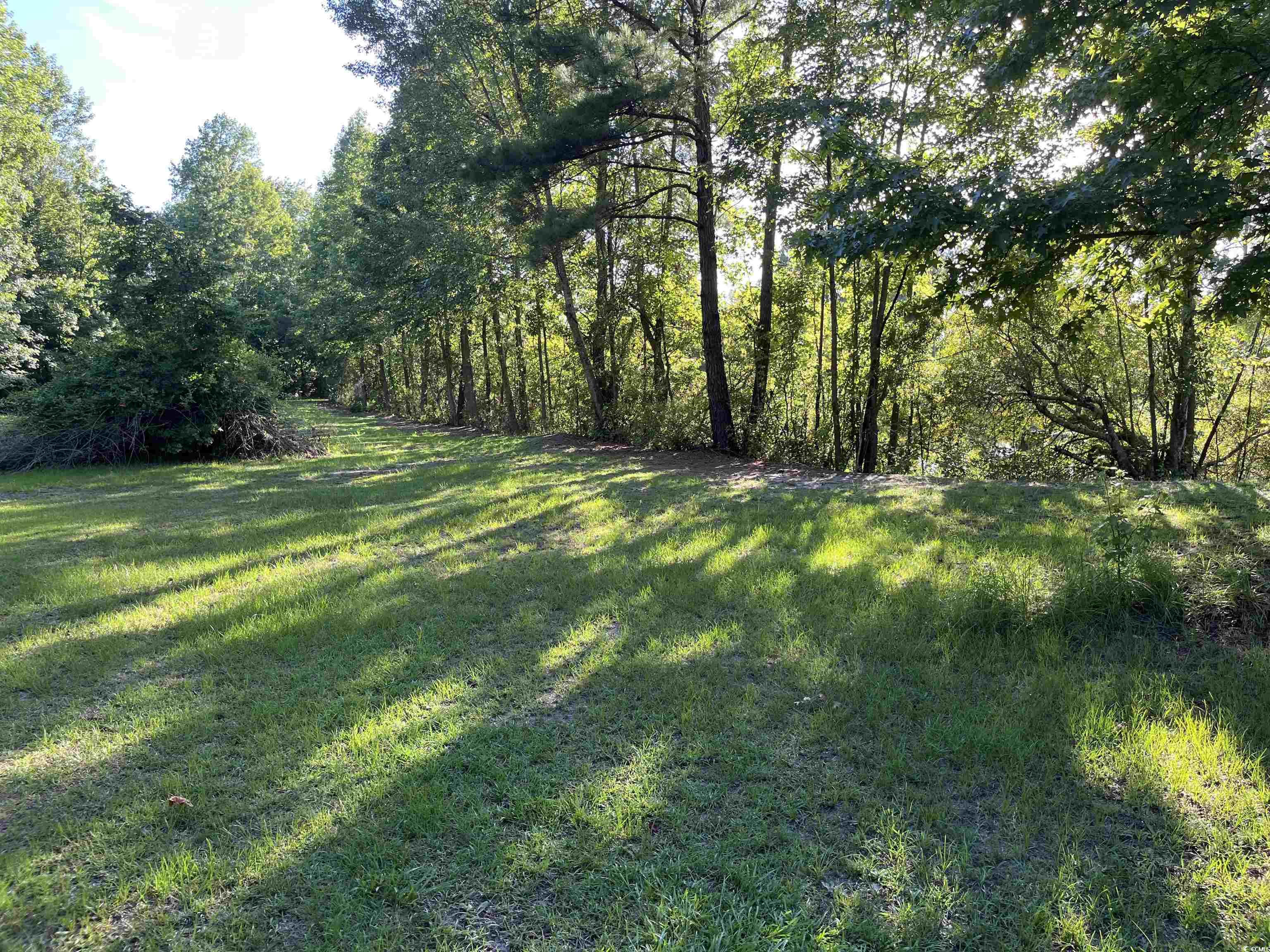 1212 Volunteer Drive Loris, SC 29569 - Photo 12 of 13