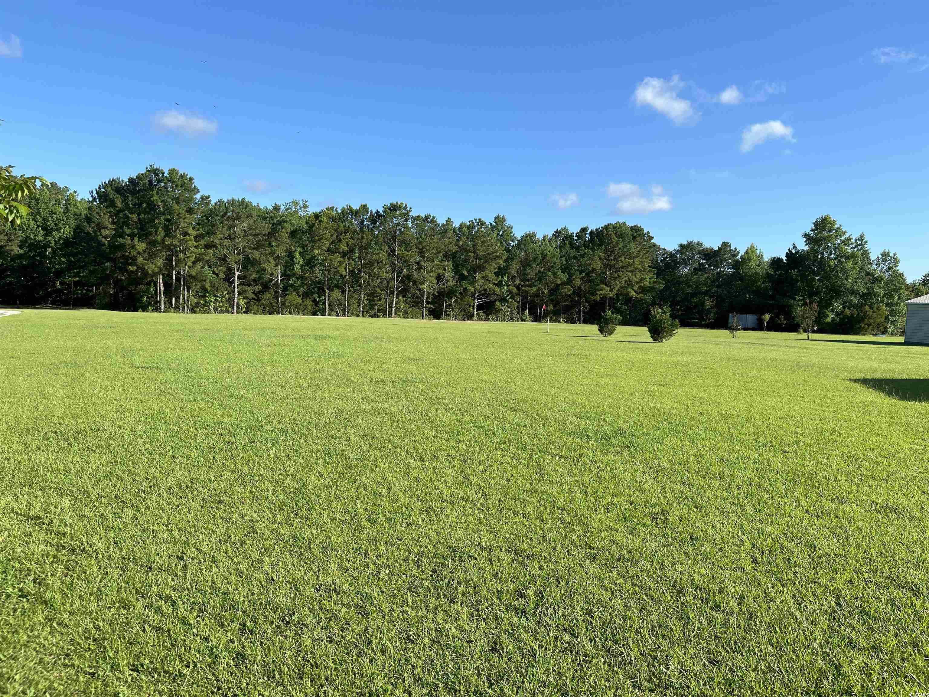 1212 Volunteer Drive Loris, SC 29569 - Photo 5 of 13