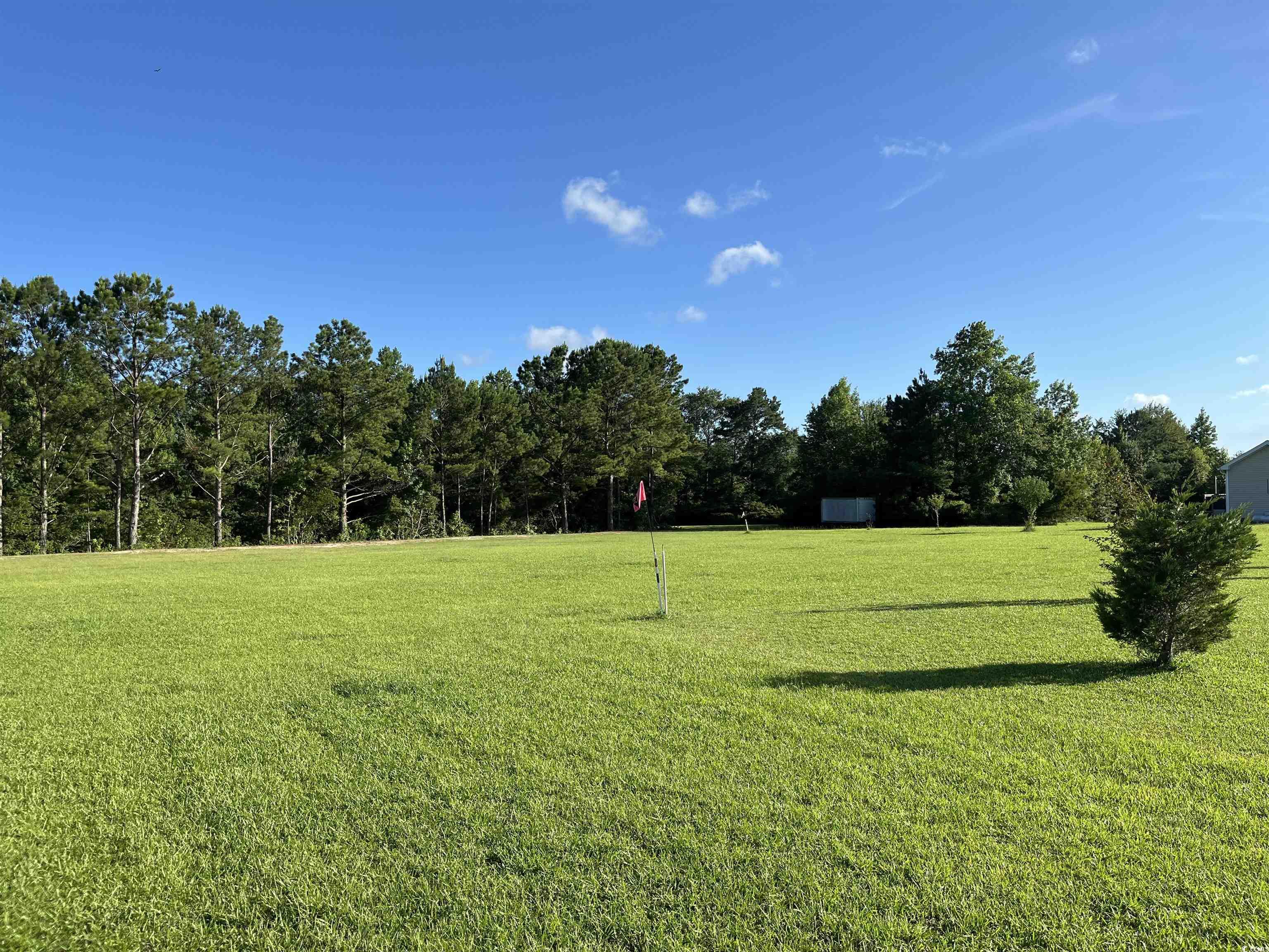 1212 Volunteer Drive Loris, SC 29569 - Photo 6 of 13