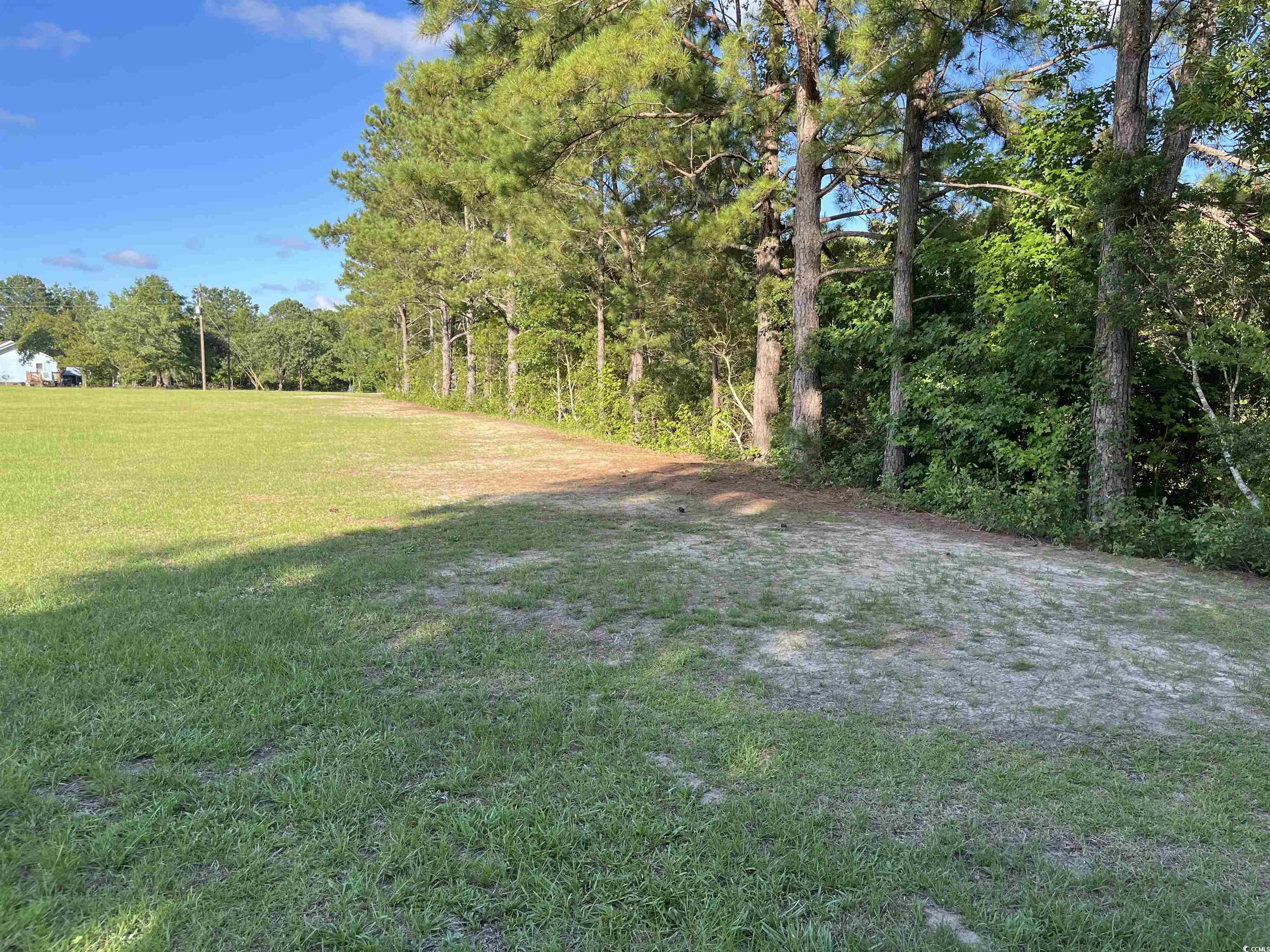 1212 Volunteer Drive Loris, SC 29569 - Photo 7 of 13