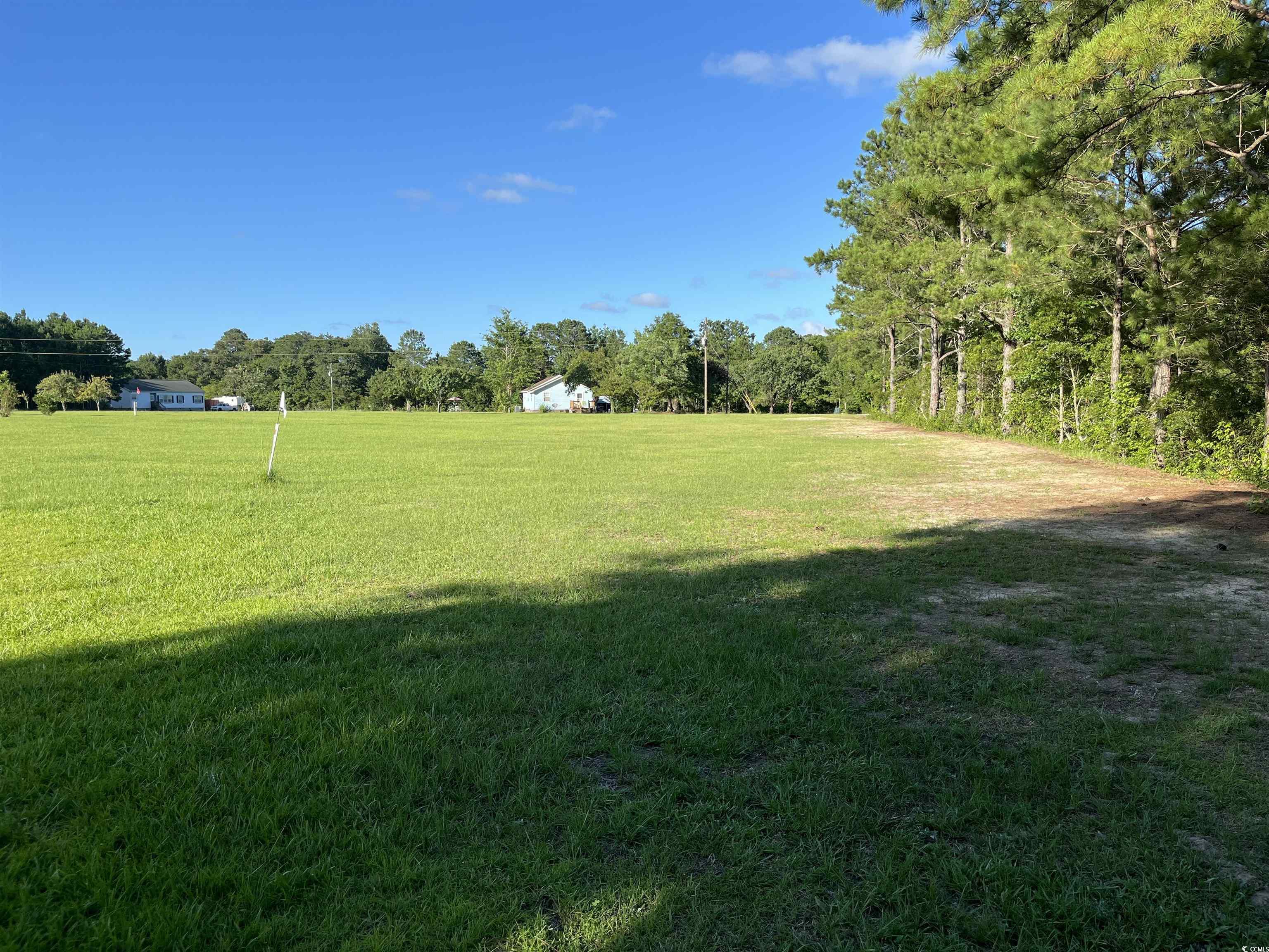 1212 Volunteer Drive Loris, SC 29569 - Photo 8 of 13