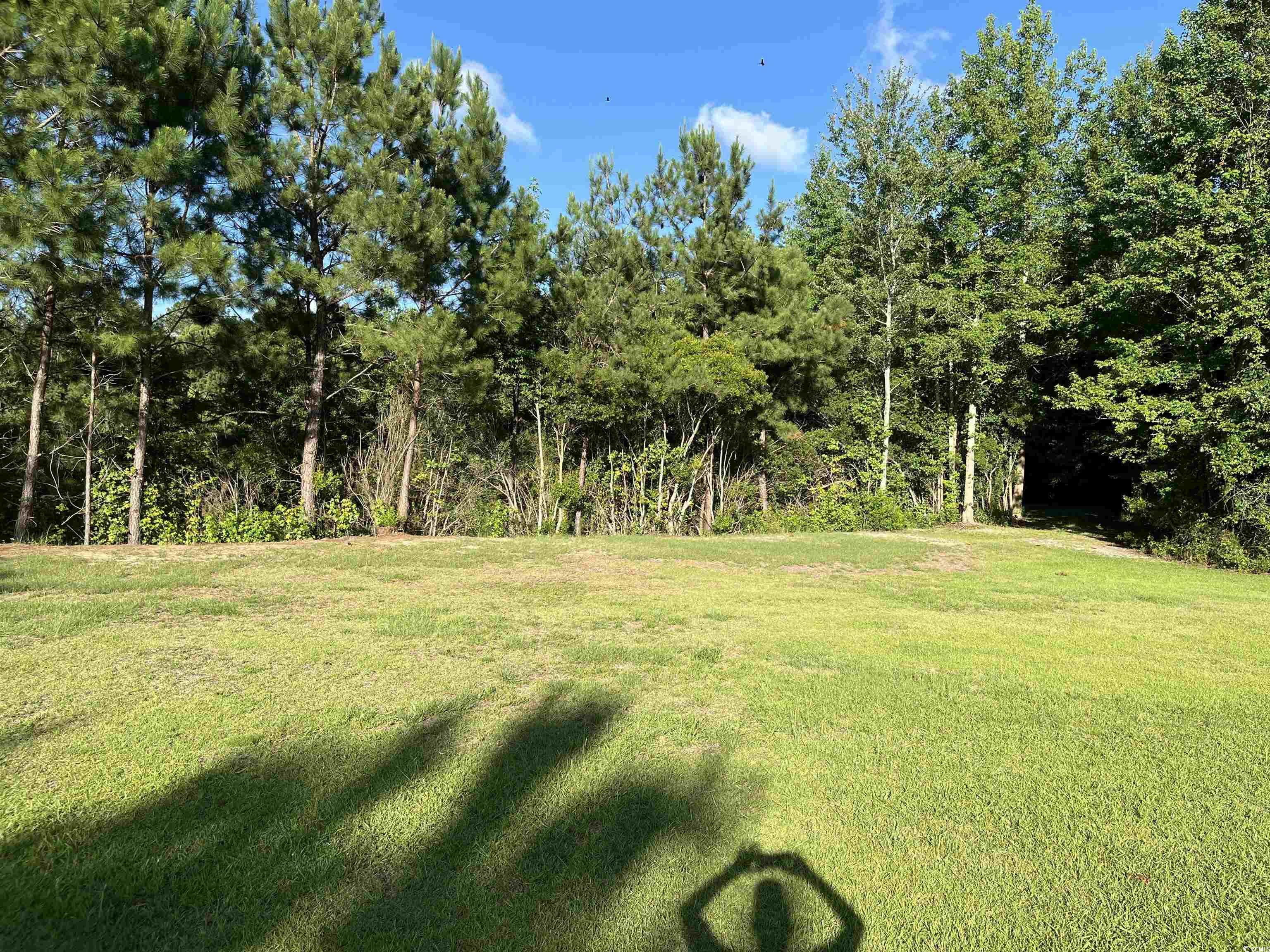 1212 Volunteer Drive Loris, SC 29569 - Photo 9 of 13