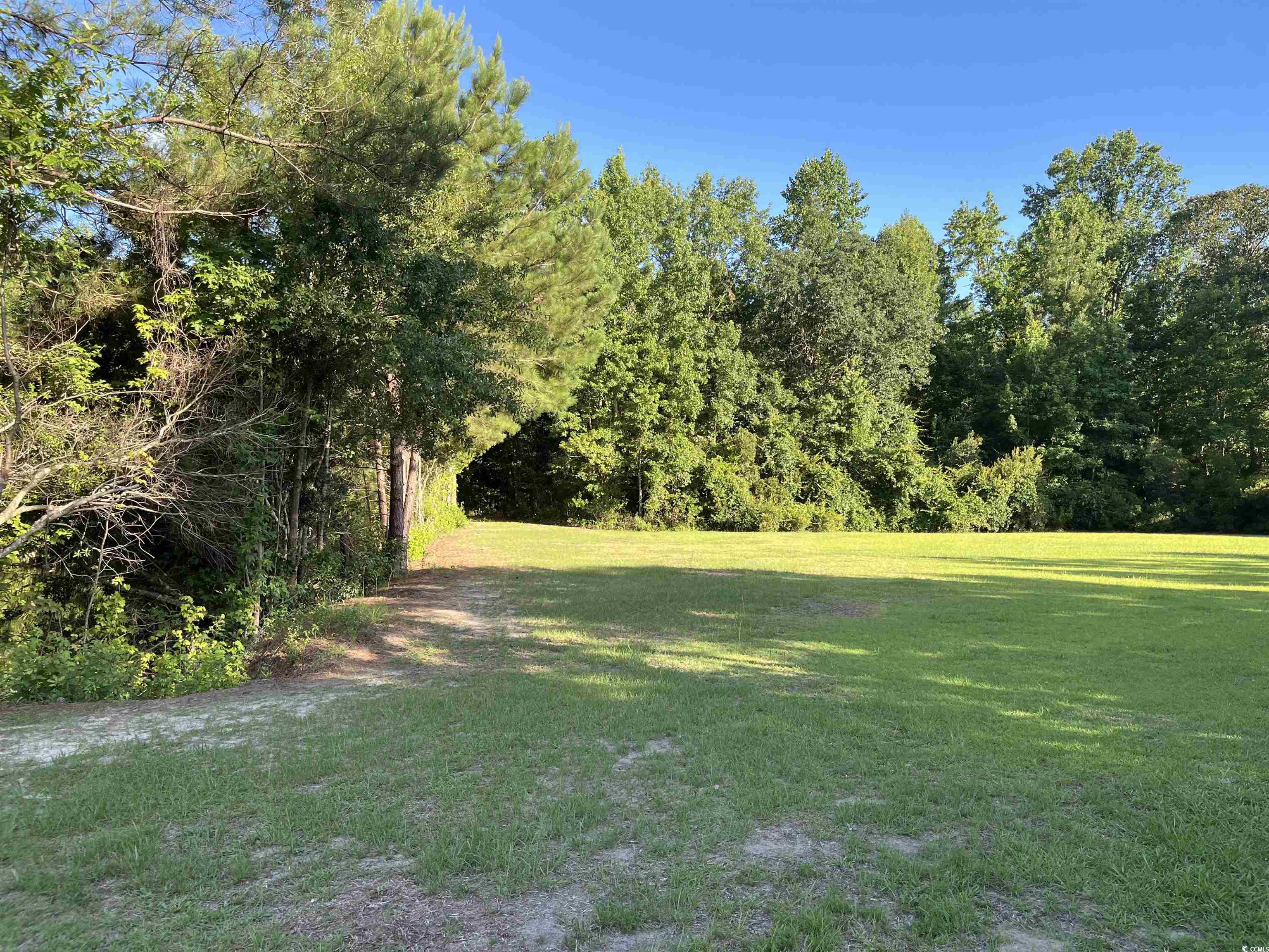 1212 Volunteer Drive Loris, SC 29569 - Photo 10 of 13