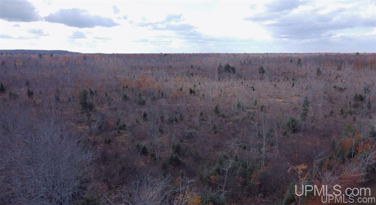 Tbd West Tbd W Co Road Seney, MI 49883 - Photo 11 of 12