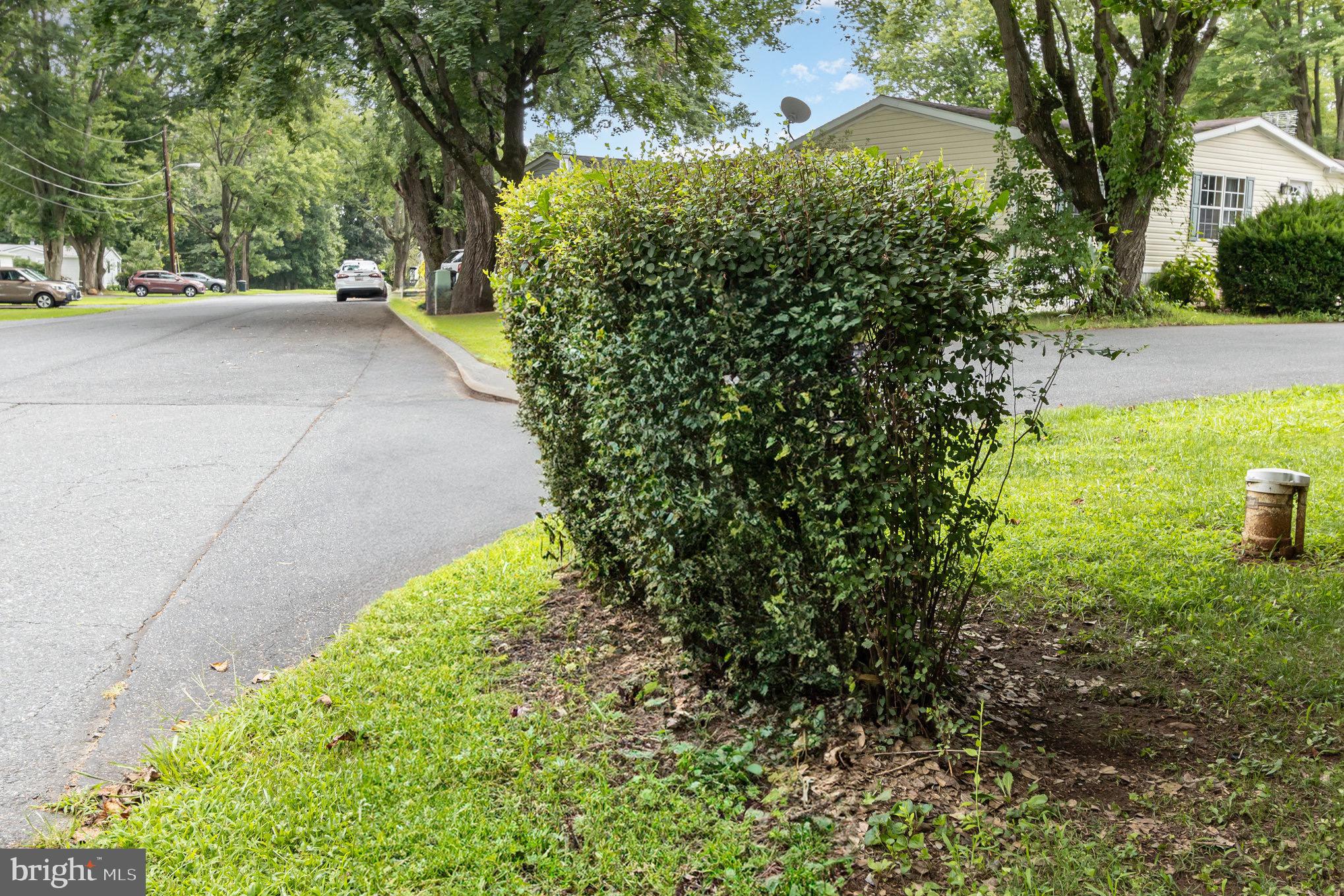4041 Conowingo Road, Unit 30 Darlington, MD 21034 - Photo 39 of 40 a view of a yard with plants and large trees