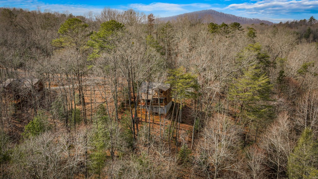 275 North Moreland Drive Blue Ridge, GA 30513 - Photo 26 of 71