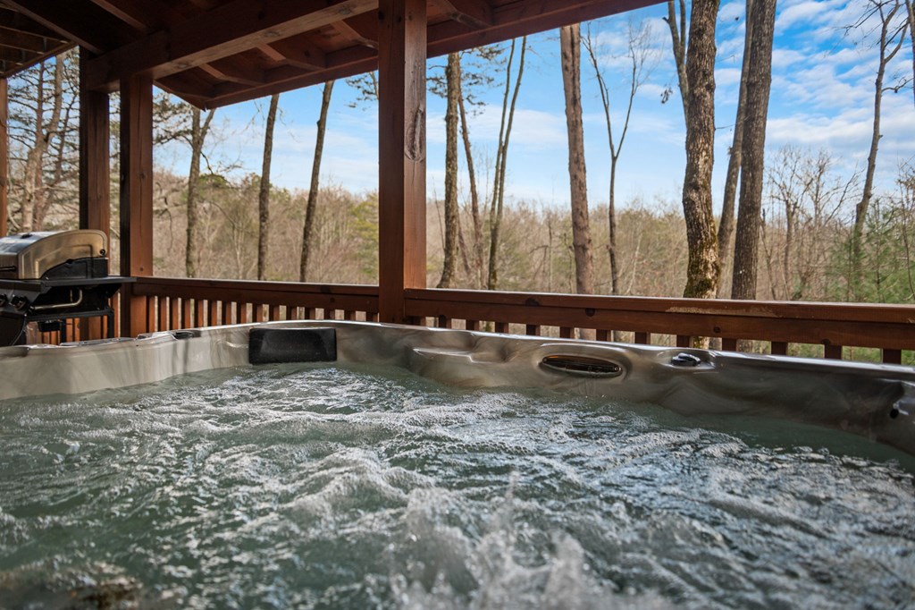 275 North Moreland Drive Blue Ridge, GA 30513 - Photo 60 of 71