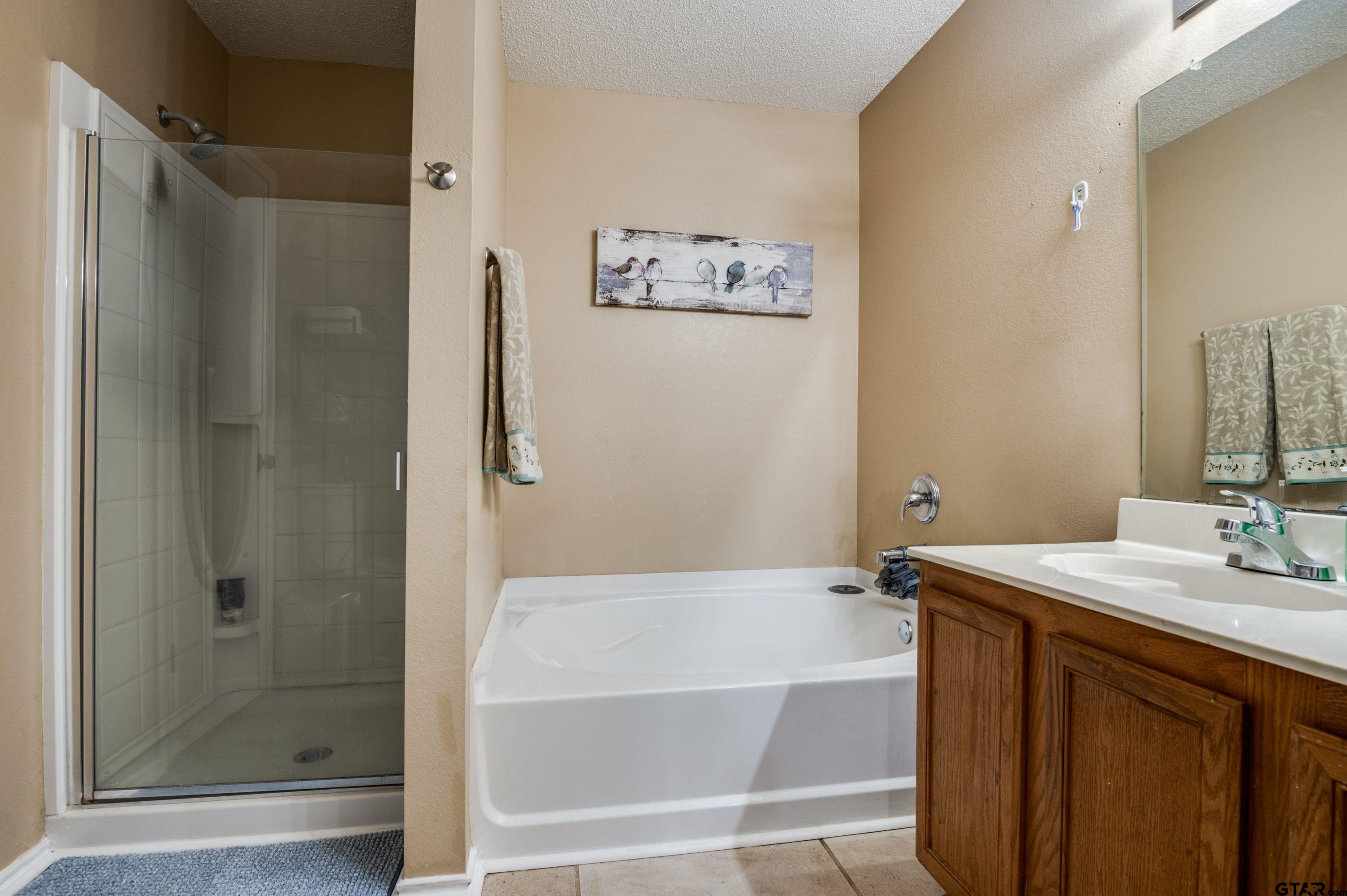 2748 Cameron Way Mesquite, TX 75181 - Photo 18 of 25 a bathroom with a tub sink vanity and shower