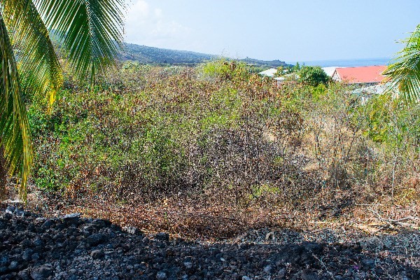 87-310 Kaohe Road Captain Cook, HI 96704 - Photo 3 of 6 a view of a garden