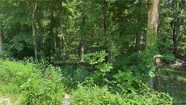 $60,000 | 27403 Great House Lane, Lincoln, MO 65338