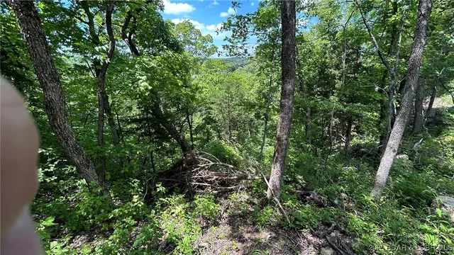 $60,000 | 27403 Great House Lane, Lincoln, MO 65338