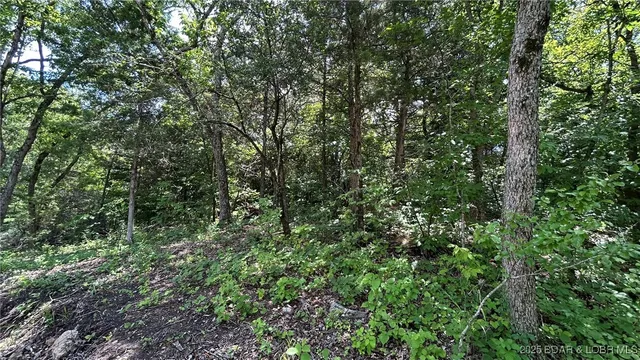 $60,000 | 27403 Great House Lane, Lincoln, MO 65338