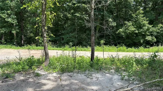 $60,000 | 27403 Great House Lane, Lincoln, MO 65338